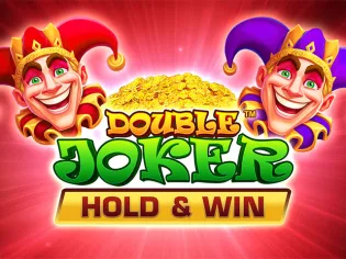 Double Joker Hold & Win game cover