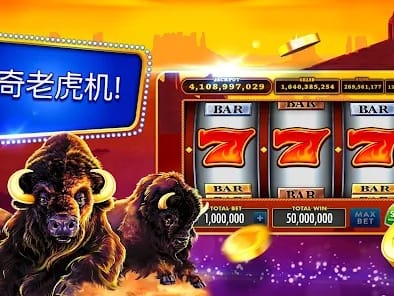 Live Sports Betting Interface