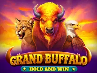Grand Buffalo Hold and Win game cover
