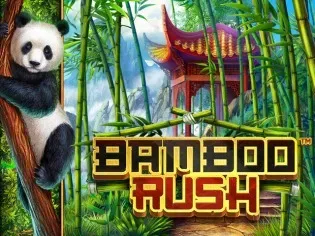 Bamboo Rush game cover